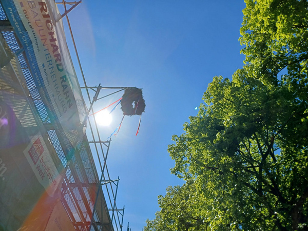 Richtkrone im Gegenlicht