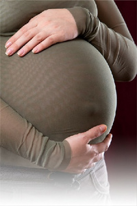 Bild Schwangerschaftsberatung des SkF e.V. Kiel