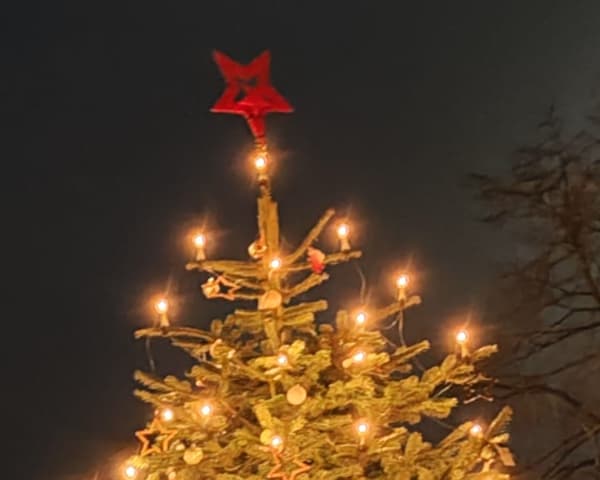 Weihnachtsbaum 2024